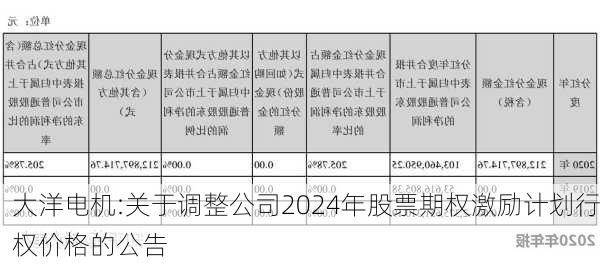 大洋电机:关于调整公司2024年股票期权激励计划行权价格的公告