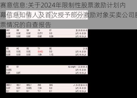 赛意信息:关于2024年限制性股票激励计划内幕信息知情人及首次授予部分激励对象买卖公司股票情况的自查报告