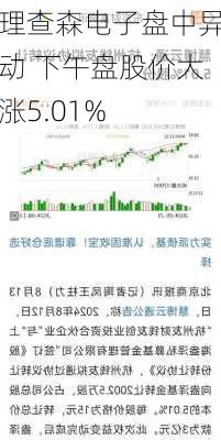 理查森电子盘中异动 下午盘股价大涨5.01%