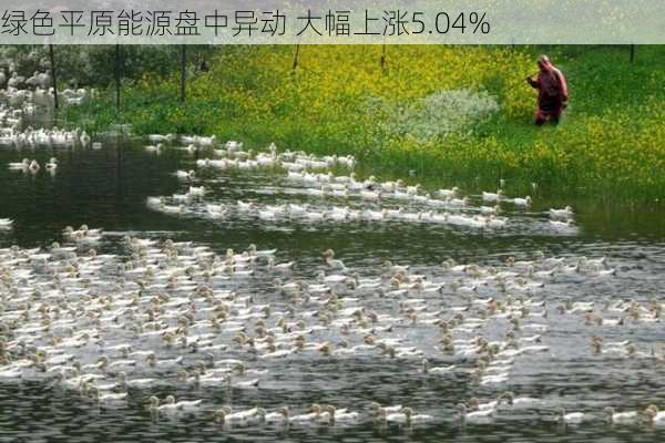 绿色平原能源盘中异动 大幅上涨5.04%