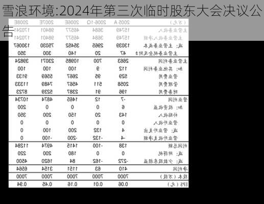 雪浪环境:2024年第三次临时股东大会决议公告